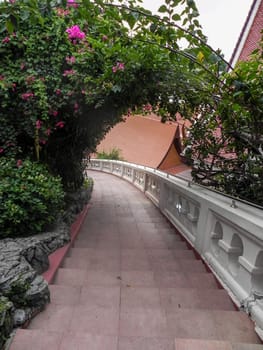 Thickets of flowering camellia trees in the old garden with a staircase