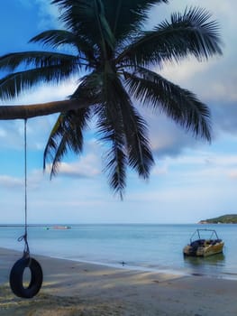 Swing hang from coconut palm tree over sand beach near blue sea water in island Koh Phangan, Thailand. Summer, travel, vacation and holiday concept