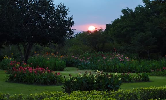 Sunset in beautiful park, City park under sunny light