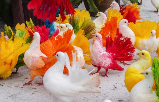 Multi-colored painted birds pigeons. Paradise Park, Samui, Thailand.