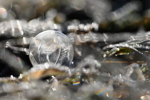 Frozen bubble in nature. A beautiful macro shot of nature in winter. Concept for environment, water and frost.