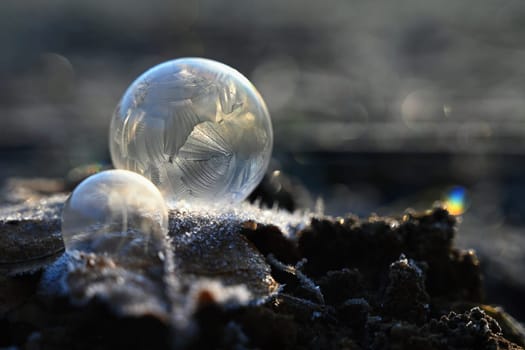 Frozen bubble in nature. A beautiful macro shot of nature in winter. Concept for environment, water and frost.