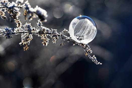 Frozen bubble in nature. A beautiful macro shot of nature in winter. Concept for environment, water and frost.