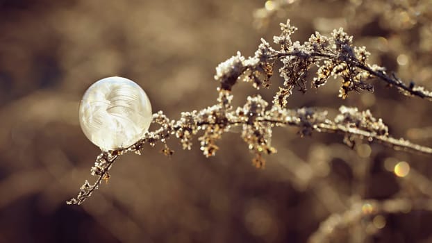 Frozen bubble in nature. A beautiful macro shot of nature in winter. Concept for environment, water and frost.