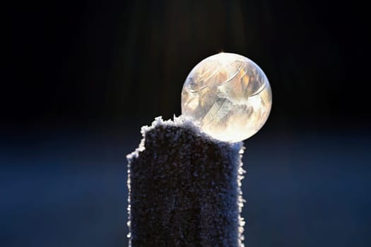 Frozen bubble in nature. A beautiful macro shot of nature in winter. Concept for environment, water and frost.