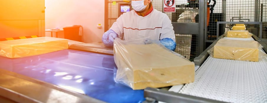 Two workers start making blocks of cheese in a factory. Worker on a cheese production line.