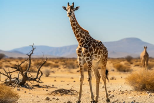Photos of various wildlife along the way in Namibia. Generative AI.