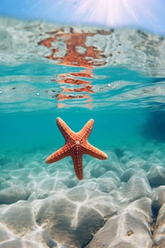 Starfish on the beach in the sea. selective focus. nature Generative AI,