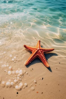 Starfish on the beach in the sea. selective focus. nature Generative AI,