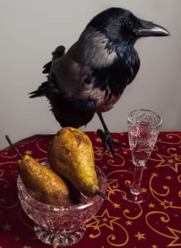 Crow bird on a red table with pears in a glass and a glass of vodka. gothic atmosphere