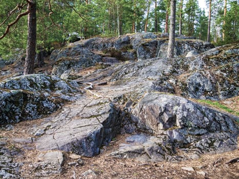 granite ledges of the Baltic shield. granite outcrops.