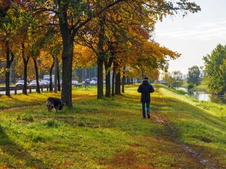 A man walking his dog down a trail surrounded by Fall colors.