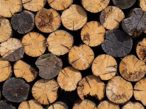 pile stacked natural sawn wooden logs background, top view