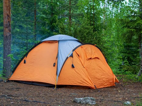 Orange tent on arcs in a green coniferous forest in summer