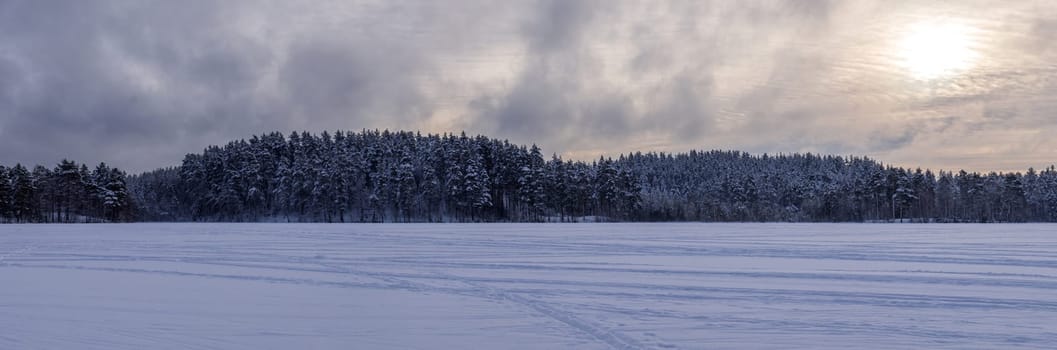 Forest after a heavy snowfall. Winter ponamramny landscape. Morning in the winter forest with freshly fallen snow