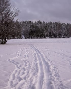 A cross-country track passes over a lake in sunshine. Forest and trees in snow and frost in the background.