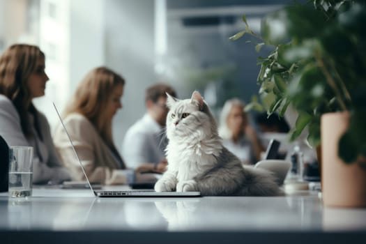 Cat sits attentively in an office meeting