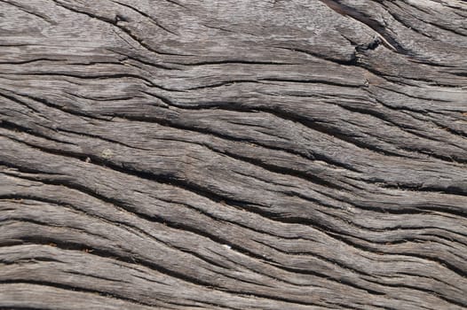 aged wood texture for natural background close-up