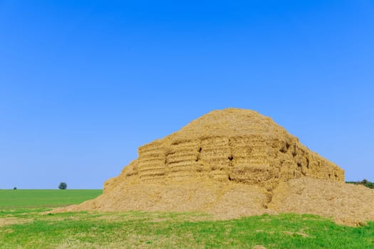 Farm work includes gathering straw after the harvest. After harvest, straw collection begins Farmer stored straw bales in field.