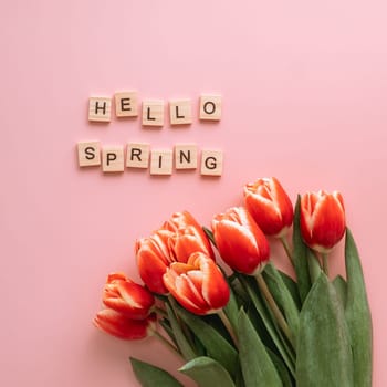 Hello spring concept. Aesthetic background for beginning of spring. Hello spring text and bunch of red tulip on pink background. Top view or flat lay