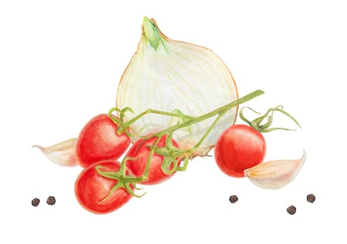 Fresh ripe cherry tomatoes on the branch, onion, garlic. Hand drawn watercolor illustration of red organic vegetable, close-up, vegetarian food, natural ingredient, package design element. Realistic botanical painting