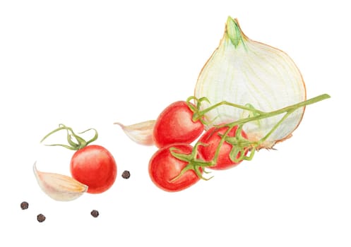 Fresh ripe cherry tomatoes on the branch, onion, garlic. Hand drawn watercolor illustration of red organic vegetable, close-up, vegetarian food, natural ingredient, package design element. Realistic botanical painting