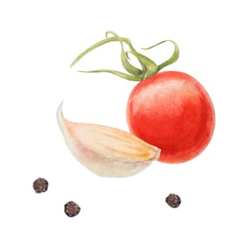 Fresh ripe cherry tomatoes on the branch, onion, garlic. Hand drawn watercolor illustration of red organic vegetable, close-up, vegetarian food, natural ingredient, package design element. Realistic botanical painting