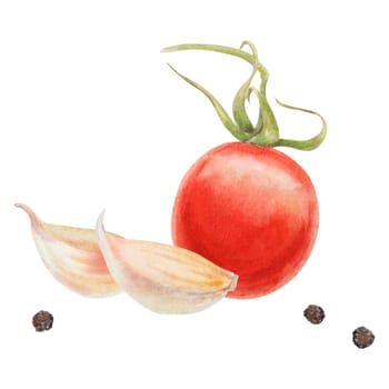 Fresh ripe cherry tomatoes on the branch, onion, garlic. Hand drawn watercolor illustration of red organic vegetable, close-up, vegetarian food, natural ingredient, package design element. Realistic botanical painting