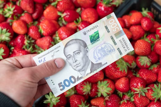 Buying strawberry in Ukraine, paying for fresh berries