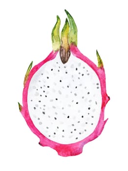 Watercolor dragon fruit cut illustration isolated on white background