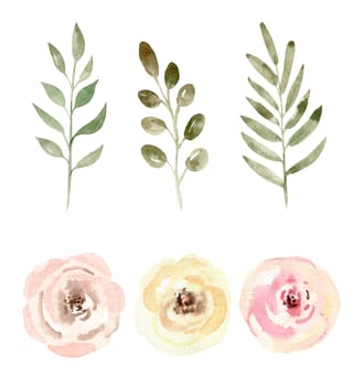 Watercolor branches and flowers set illustration isolated on white background