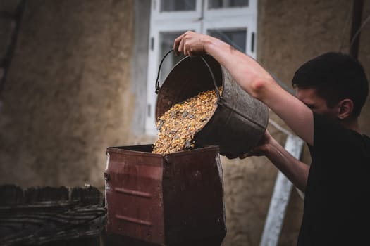 One young Caucasian brunette pours a mixture of wheat and corn from a bucket into a crusher for preparing dry food, standing on the street near a village house, close-up side view.