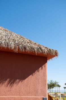 palm trees on terracotta wall background