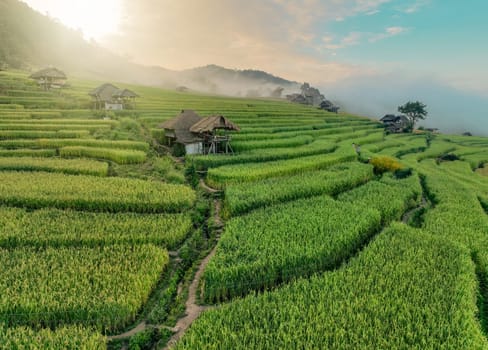 Landscape of rice terrace and hut with mountain range background and beautiful sunrise sky. Nature landscape. Green rice farm. Terraced rice fields. Travel destinations in Chiang Mai, Thailand.