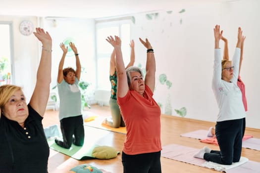 A group of senior women engage in various yoga exercises, including neck, back, and leg stretches, under the guidance of a trainer in a sunlit space, promoting well-being and harmony.