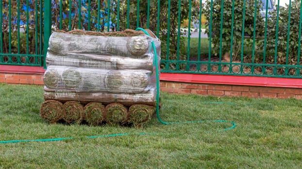 Stacked rolls of fresh sod ready for laying out on a landscaped lawn, with a garden hose nearby