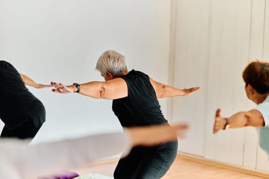 A group of senior women engage in various yoga exercises, including neck, back, and leg stretches, under the guidance of a trainer in a sunlit space, promoting well-being and harmony.