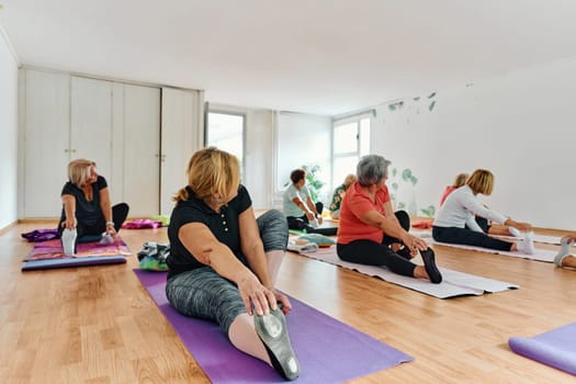 A group of senior women engage in various yoga exercises, including neck, back, and leg stretches, under the guidance of a trainer in a sunlit space, promoting well-being and harmony.