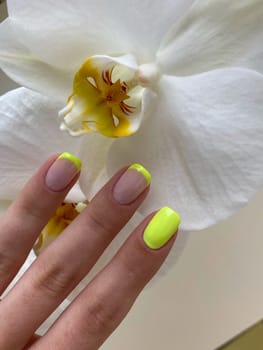 A woman's hand with a neon yellow and nude french manicure orchids on the background. High quality photo