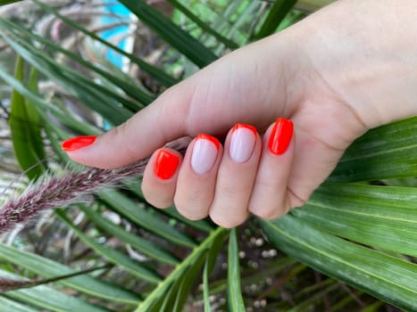 A woman's hand with red nail polish on a green leaf. High quality photo