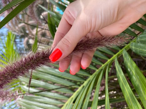 A woman's hand with red nail polish on a green leaf. High quality photo