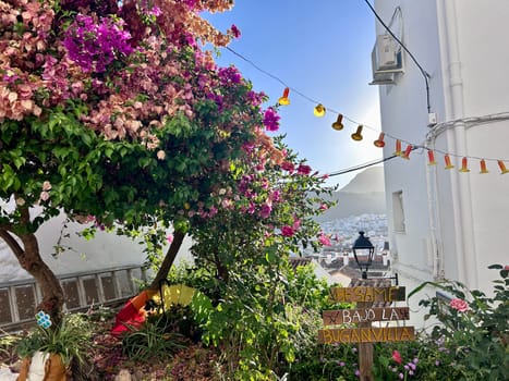 A view of a street with lots of flowers on it. High quality photo