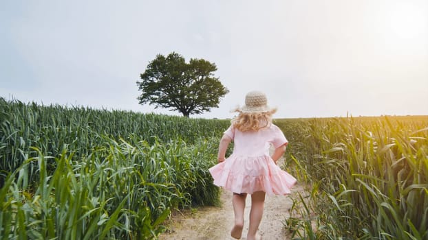 A little girl is running through a field of young wheat against the background of an oak tree