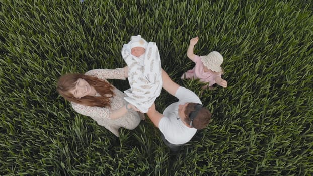 A happy young couple lifts up a baby boy in a field of wheat. Drone video