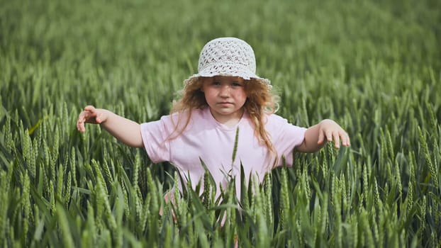 A little girl walks through a field of young wheat