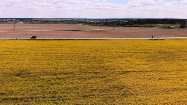 A field of rapeseed next to the highway and passing cars