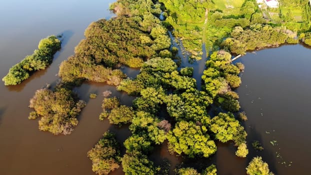 Nature on the Amur River in Russia. Aerial view