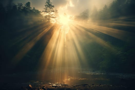 Bright sun rays shine between the trees in the forest.