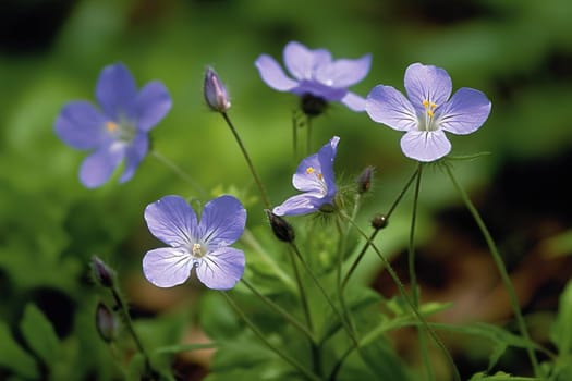 A close-up photograph of delicate blue wildflowers, with a soft-focus background enhancing their natural beauty - Generative AI