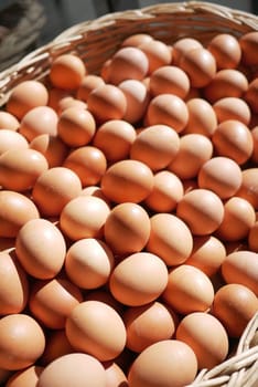 close up of eggs in a bowl